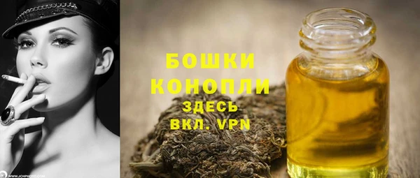 герыч Мегион
