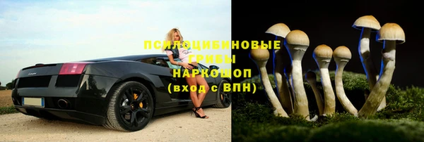 герыч Мегион