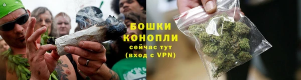 альфа пвп Медвежьегорск