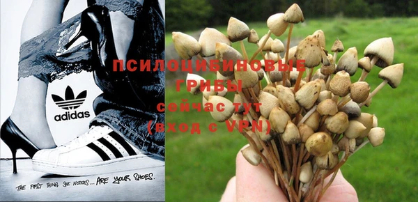 прущая мука Медногорск