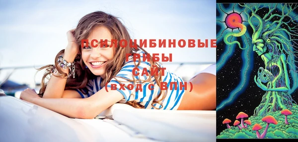 альфа пвп Медвежьегорск