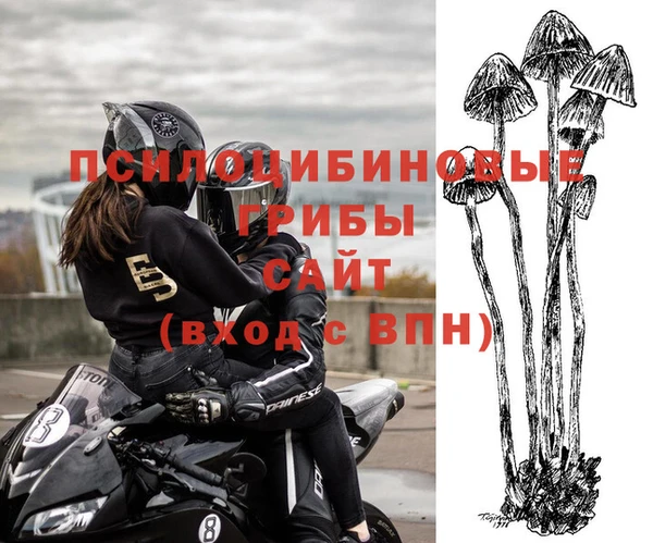 герыч Мегион