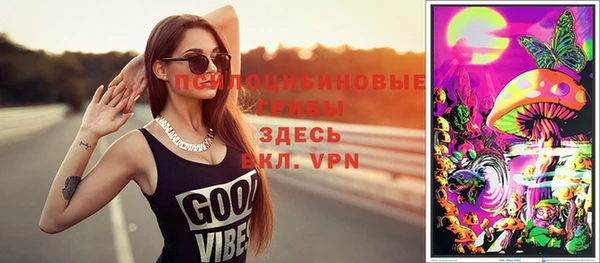 альфа пвп Медвежьегорск