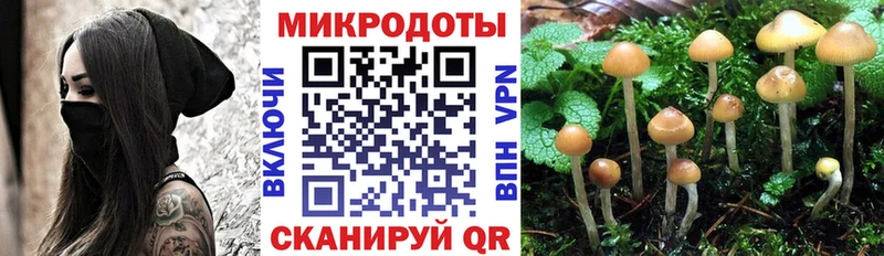 магазин продажи наркотиков  Химки  Псилоцибиновые грибы прущие грибы 