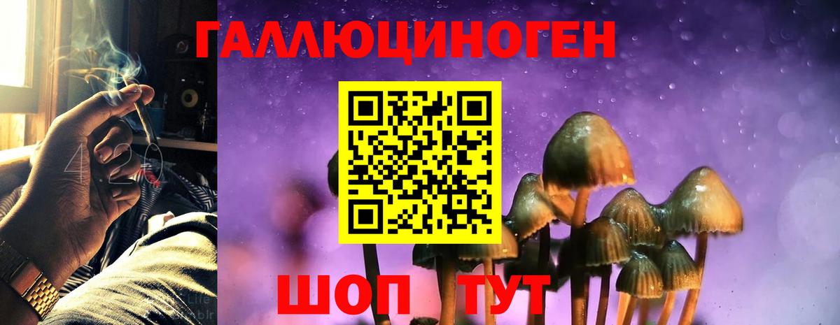 купить наркотик  Псилоцибиновые грибы мицелий  Псилоцибиновые грибы GOLDEN TEACHER  Вход с VPN  Химки 